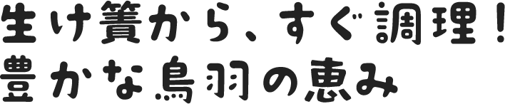 生け簀から、すぐ調理!
豊かな鳥羽の恵み